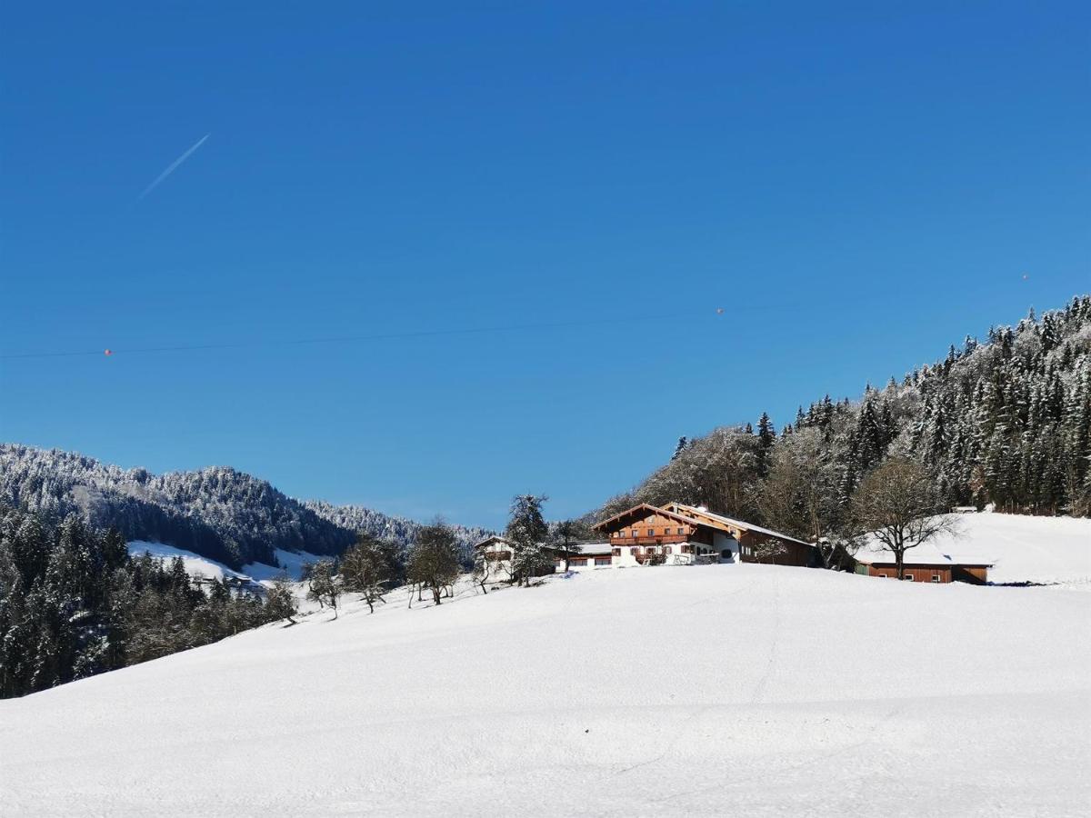 Biobauernhof Und Ferienhaus Riederbauer Rettenschöss Kültér fotó
