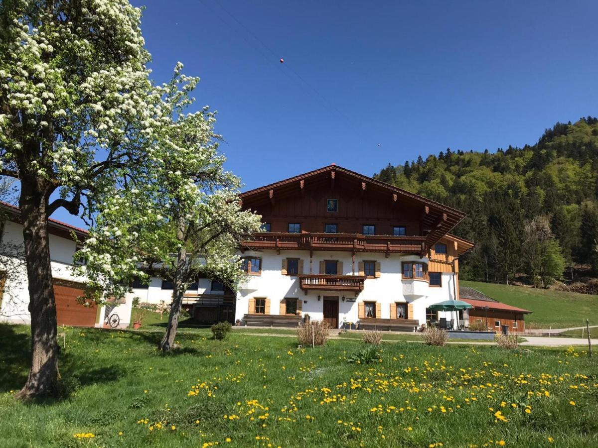 Biobauernhof Und Ferienhaus Riederbauer Rettenschöss Kültér fotó