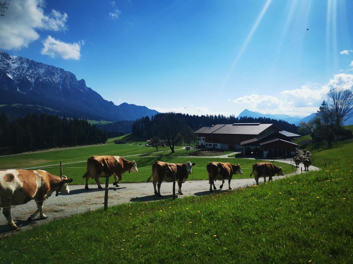 Biobauernhof Und Ferienhaus Riederbauer Rettenschöss Kültér fotó